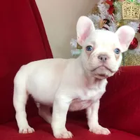 processed/e944a690-840d-4332-9207-f2368bfa6af4/facility/170a245f-c16e-460d-b13b-fc8686bb901d