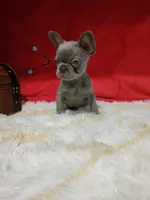 processed/e944a690-840d-4332-9207-f2368bfa6af4/facility/324cf6f3-61e9-4d61-904a-2f75065f69e6