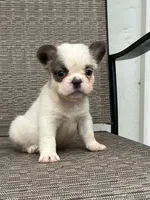 processed/e944a690-840d-4332-9207-f2368bfa6af4/facility/4690b04a-ded7-4180-9664-4082d8b8a23b