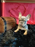 processed/e944a690-840d-4332-9207-f2368bfa6af4/facility/a22ac7dd-72df-463f-822a-5ae1700d2364