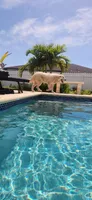 Luna, a female Great Pyrenees for sale in Cape Coral, FL – 5 of 5