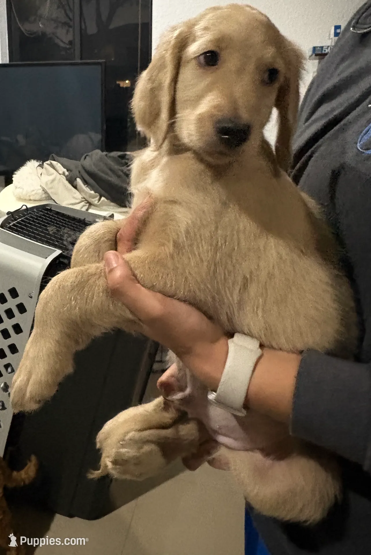 processed/e9475f94-2e5c-4d4d-b57f-81b26f7342d9/listing/d9baf19e-cd1e-4ba0-8ae0-b9f7b14db3a1/278cb782-3c1a-4fc1-90eb-2ae1076621a9