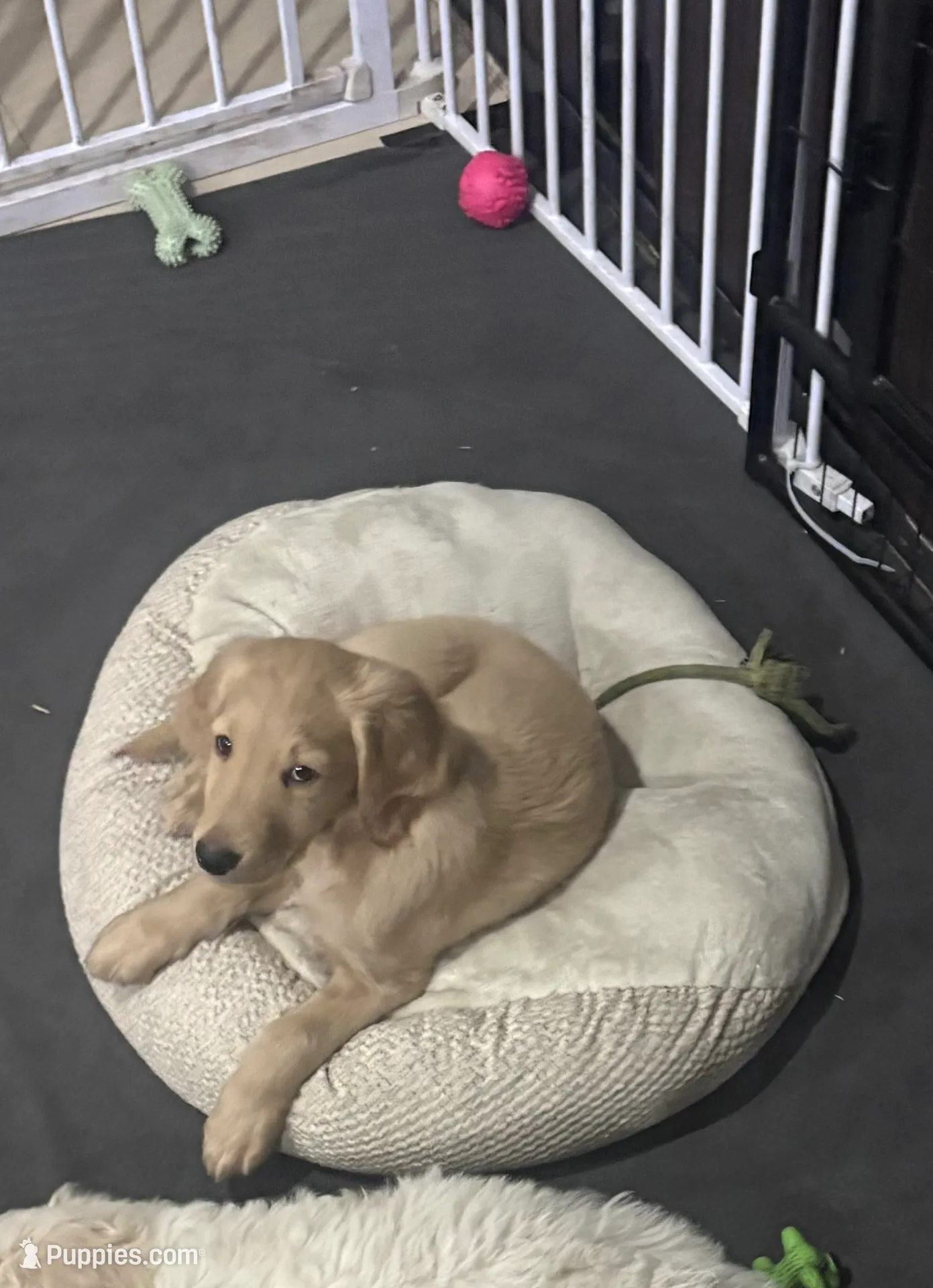 processed/e9475f94-2e5c-4d4d-b57f-81b26f7342d9/listing/d9baf19e-cd1e-4ba0-8ae0-b9f7b14db3a1/2960a6c8-0422-4dbd-8e02-04cddda2e6ce