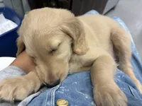 processed/e9475f94-2e5c-4d4d-b57f-81b26f7342d9/listing/d9baf19e-cd1e-4ba0-8ae0-b9f7b14db3a1/367f3f4a-ccb4-4977-8aa5-6ef318a7edd1