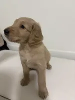 processed/e9475f94-2e5c-4d4d-b57f-81b26f7342d9/listing/d9baf19e-cd1e-4ba0-8ae0-b9f7b14db3a1/522efce4-31ea-4091-b721-7de3394426ac