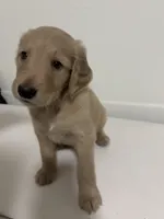 processed/e9475f94-2e5c-4d4d-b57f-81b26f7342d9/listing/d9baf19e-cd1e-4ba0-8ae0-b9f7b14db3a1/b69256ae-6b67-40e6-8664-08c3cc28c1df