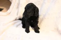 processed/e9535ea5-6829-4d6e-9744-eaa9122b899c/listing/75d23387-e9ae-4a60-a399-cbdef33b033a/1982c605-6383-41cc-a74d-682dacf9a8ff