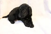 processed/e9535ea5-6829-4d6e-9744-eaa9122b899c/listing/75d23387-e9ae-4a60-a399-cbdef33b033a/59fd0aee-3f94-4209-b09d-65b449922a4c