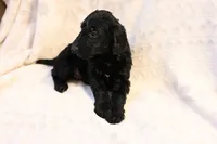 processed/e9535ea5-6829-4d6e-9744-eaa9122b899c/listing/75d23387-e9ae-4a60-a399-cbdef33b033a/cd604eca-cd5b-4844-a753-e747d92c7d57