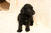 processed/e9535ea5-6829-4d6e-9744-eaa9122b899c/listing/a56897ba-7d89-49e3-8e84-8da83d53e352/4057dfc5-4cca-4572-be7e-d2e1ec0a70e4