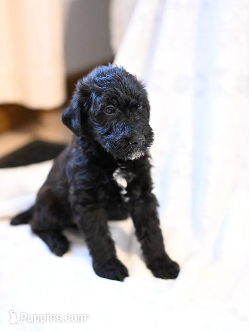 processed/e9535ea5-6829-4d6e-9744-eaa9122b899c/listing/b4a18a47-319b-4c5e-a89e-c63e2af8a5c0/69ff3ae3-8f3d-4bde-805c-dc286f740f07