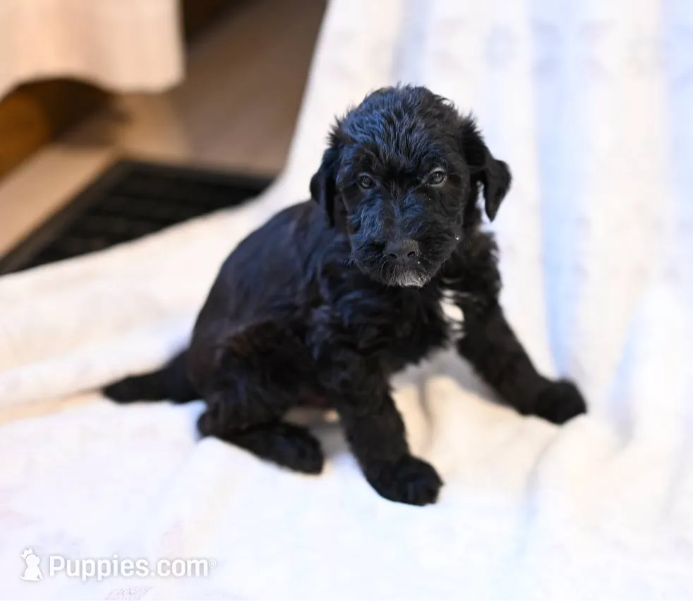 processed/e9535ea5-6829-4d6e-9744-eaa9122b899c/listing/b4a18a47-319b-4c5e-a89e-c63e2af8a5c0/fbe0d4fe-faac-426b-8429-7eaa6210b4d6