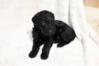 processed/e9535ea5-6829-4d6e-9744-eaa9122b899c/listing/c0a6e74e-29d9-413a-8a5a-07f6c035985b/1646ddcf-bba8-4b46-a3f2-2daf3052befe