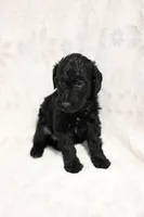 processed/e9535ea5-6829-4d6e-9744-eaa9122b899c/listing/c0a6e74e-29d9-413a-8a5a-07f6c035985b/2925a0d8-ad65-4c54-aa55-5dff23bf118d