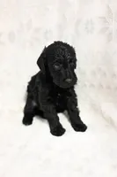 processed/e9535ea5-6829-4d6e-9744-eaa9122b899c/listing/c0a6e74e-29d9-413a-8a5a-07f6c035985b/73fdad92-1d7a-4b85-84bb-0b44091dbd1a