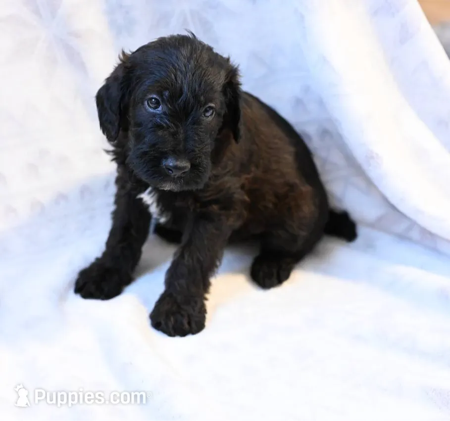 processed/e9535ea5-6829-4d6e-9744-eaa9122b899c/listing/c2971130-31ef-441e-96b6-89cf6a1fe428/ab63f019-29e9-48e5-b1cf-9ed72b53dc8f