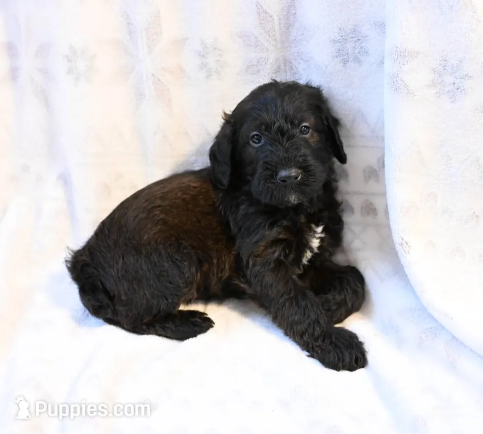 processed/e9535ea5-6829-4d6e-9744-eaa9122b899c/listing/c2971130-31ef-441e-96b6-89cf6a1fe428/e6c054c1-6876-473a-8c2f-e8d70bb42012