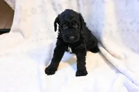 processed/e9535ea5-6829-4d6e-9744-eaa9122b899c/listing/d7f4aecd-5b89-4f56-8511-4c41b098ce53/83524989-2b6f-4c11-804a-90ef914695e1