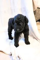 processed/e9535ea5-6829-4d6e-9744-eaa9122b899c/listing/d7f4aecd-5b89-4f56-8511-4c41b098ce53/b5ea25c5-d0af-43ae-a31c-46b1c8205969