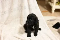 processed/e9535ea5-6829-4d6e-9744-eaa9122b899c/listing/ddaf7273-d36a-438a-b122-119932fe8ae3/79fae220-d905-4280-8e86-8923fbd4a43a