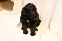 processed/e9535ea5-6829-4d6e-9744-eaa9122b899c/listing/de66cea8-2fbd-4e45-9796-d9a3950828fe/dc7f3bac-c795-48a7-a9f4-db416bcfc173