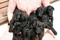 processed/e9535ea5-6829-4d6e-9744-eaa9122b899c/listing/de66cea8-2fbd-4e45-9796-d9a3950828fe/fb805973-6f87-4b99-b589-9100c7514a76