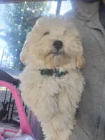 processed/e95ff0be-0614-43b7-9401-69226c0640b3/facility/38c51fe8-46b2-4d7c-aef8-251d35402695