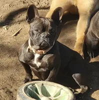 processed/e95ff0be-0614-43b7-9401-69226c0640b3/facility/71c0ae9b-bbc5-439d-8e53-0f05346b154b