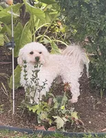 processed/e95ff0be-0614-43b7-9401-69226c0640b3/facility/c4780c15-f7af-4ad9-8c01-4d7ec56ef6a5