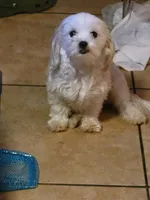 processed/e95ff0be-0614-43b7-9401-69226c0640b3/facility/d937234f-1ad5-4484-bba0-6460393594db