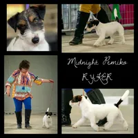 processed/e963a4b6-7525-4bf6-97fd-1b0720d37ccf/facility/12345ed5-14de-48e5-9440-c2b7027df237