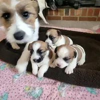 processed/e963a4b6-7525-4bf6-97fd-1b0720d37ccf/facility/54a20586-84db-40d9-9ac3-514eac7366a9