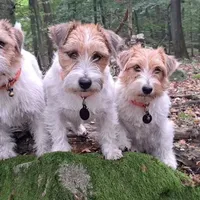 processed/e963a4b6-7525-4bf6-97fd-1b0720d37ccf/facility/799ecc87-dfbf-4a61-b9dd-f29b91f2e34e