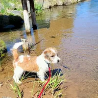 processed/e963a4b6-7525-4bf6-97fd-1b0720d37ccf/facility/92fea5df-6481-4508-a19b-4534763c839c