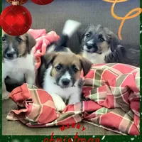 processed/e963a4b6-7525-4bf6-97fd-1b0720d37ccf/facility/e3278863-9a7a-4a9a-b9ac-ffb8f5ab7f78