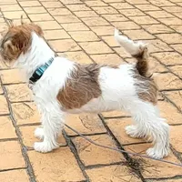 processed/e963a4b6-7525-4bf6-97fd-1b0720d37ccf/facility/f0dd3d35-6167-4f57-a995-2218d904ba60