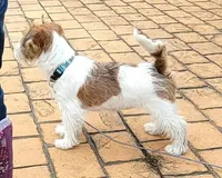 processed/e963a4b6-7525-4bf6-97fd-1b0720d37ccf/facility/f0dd3d35-6167-4f57-a995-2218d904ba60