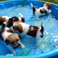 processed/e963a4b6-7525-4bf6-97fd-1b0720d37ccf/facility/fc967473-d94b-4a4e-9ffa-92344aeb7d8e