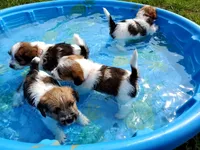 processed/e963a4b6-7525-4bf6-97fd-1b0720d37ccf/facility/fc967473-d94b-4a4e-9ffa-92344aeb7d8e