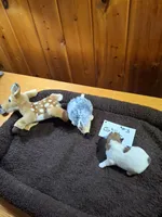 Girls 3, a female Jack Russell Terrier for sale in Traverse City, MI – 3 of 7