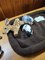 Boy 2, a male Jack Russell Terrier for sale in Traverse City, MI – 3 of 6