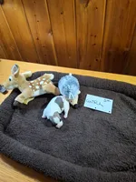 Girl 2, a female Jack Russell Terrier for sale in Traverse City, MI – 5 of 6