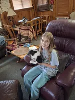 Bow, a male Jack Russell Terrier for sale in Traverse City, MI – 5 of 7