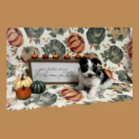 AKC ~ Milo, a male Yorkshire Terrier for sale in Bonney Lake, WA – 4 of 6
