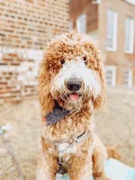 processed/e96f102a-aaec-4061-925b-90815dbbfb1f/facility/79bf5c5a-7b32-4dae-b725-f70e2666955f