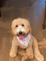 processed/e96f102a-aaec-4061-925b-90815dbbfb1f/facility/88316494-c52a-426a-8824-23d5f9fcaea8