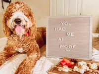 processed/e96f102a-aaec-4061-925b-90815dbbfb1f/facility/c9981c9e-7802-4634-89e1-10cc87119c78