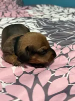 processed/e9714361-0cad-4495-b6b6-fc8aeb98fe3c/listing/0fb0e32a-b408-4c5e-a69a-2ae06e07c0d2/0d47395a-2167-45e9-81fd-44421f3f8eef