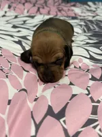 processed/e9714361-0cad-4495-b6b6-fc8aeb98fe3c/listing/0fb0e32a-b408-4c5e-a69a-2ae06e07c0d2/2b3071f5-e3d6-4329-b784-f330f3f72111