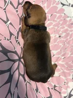 processed/e9714361-0cad-4495-b6b6-fc8aeb98fe3c/listing/0fb0e32a-b408-4c5e-a69a-2ae06e07c0d2/61723183-f235-4fc6-8878-4eacc561f61f